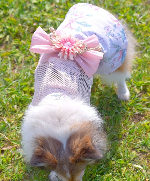 犬服 ハンドメイド浴衣 Sサイズ ワンタッチ浴衣 Sサイズ [小型犬服ダウンロード型紙] - 犬服型紙