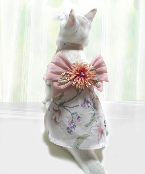 nicoさま専用　⭐︎未使用・未開封・美品⭐︎　浴衣+着付け5点セット　サイズS ONEKOSAMA OINUSAMA 犬 服 ペット浴衣（ファン付き）「小さい