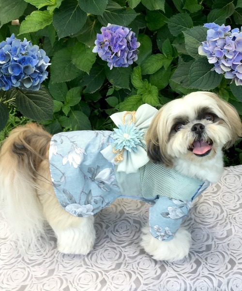 犬服ハンドメイド♡あーにゃ♡浴衣♡浴衣♡ミモザと小鳥さんワンピース 犬服ハンドメイド♡あーにゃ様専用♡浴衣♡浴衣♡ミモザと小鳥