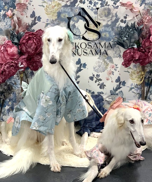 犬服ハンドメイド♡あーにゃ♡浴衣♡浴衣♡ミモザと小鳥さんワンピース 犬服ハンドメイド♡あーにゃ様専用♡浴衣♡浴衣♡ミモザと小鳥