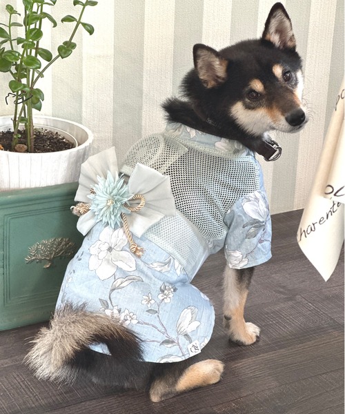 ONEKOSAMA OINUSAMA 犬 服 ペット浴衣（ファン付き）「小さい