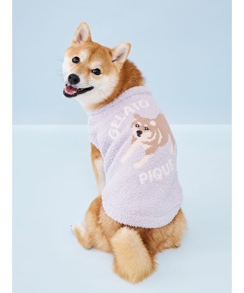 gelato pique（ジェラートピケ） 犬 ハーネス リード 「CAT＆DOG」柴犬