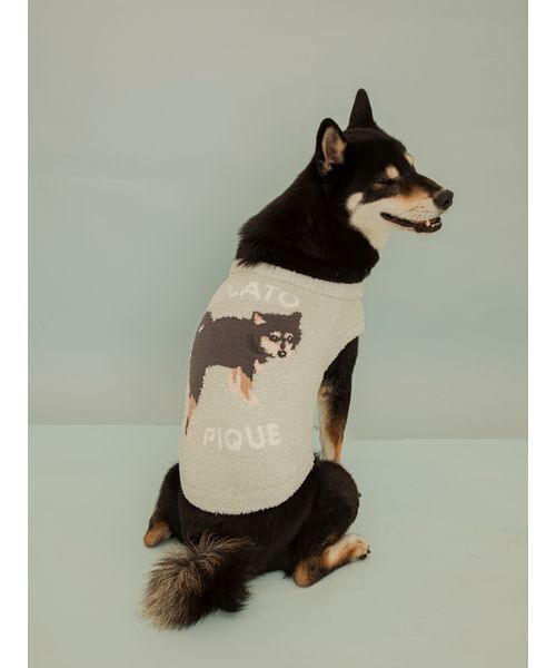 A BATHING APE（アベイシングエイプ） 犬 ハーネス リード ABC CAMO