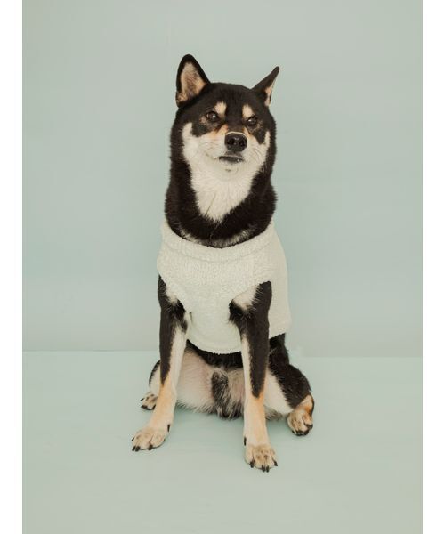gelato pique（ジェラートピケ） 犬 ハーネス リード 「CAT＆DOG」柴犬