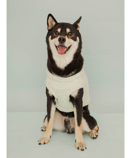 gelato pique（ジェラートピケ） 犬 ハーネス リード 「CAT＆DOG」柴犬