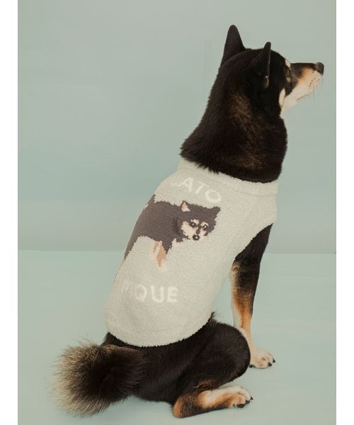 gelato pique（ジェラートピケ） 犬 ハーネス リード 「CAT＆DOG」柴犬