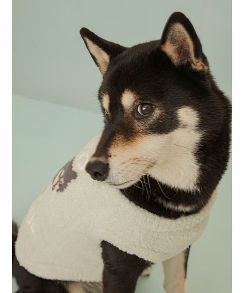 gelato pique（ジェラートピケ） 犬 ハーネス リード 「CAT＆DOG」柴犬