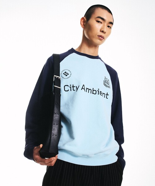 AMBIENT - 新品未使用品⭐️AMBIENT アンビエンテ　長袖　トップス　チョーカーVネック City Ambient Products（シティ アンビエント プロダクツ） ショルダー