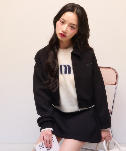 EIMY ISTOIRE（エイミーイストワール） 長袖ニット F サックスブルー