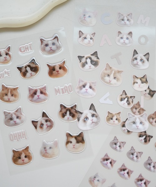 保護猫ファミリーオーダーステッカーセット 保護猫シェルター泥猫倶楽部 ロンT ヘイジーイエロー（ステッカー