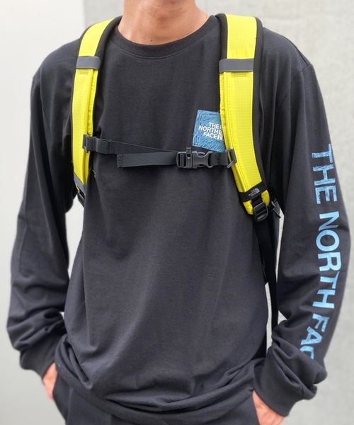 THE NORTH FACE デイバック リュック 「THE FACE」ノース