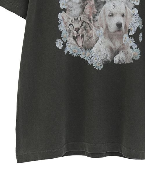 Candy Stripper tシャツ DOGS N' CATS ROCK Tシャツ レディース