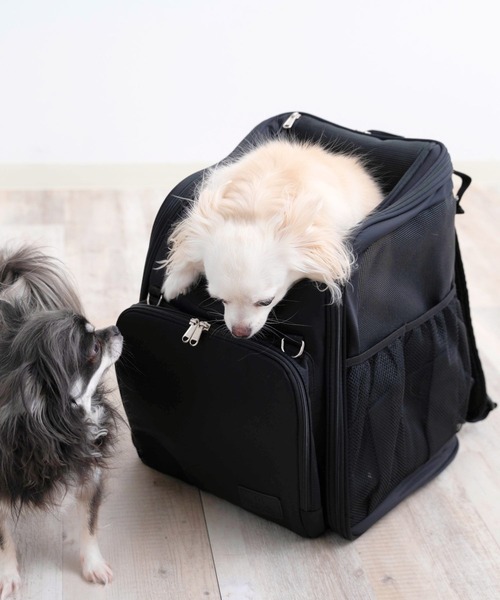 リロン様　オーダーペットキャリー風バッグ完成品 ONEKOSAMA OINUSAMA（おねこさま・おいぬさま） ペットキャリー