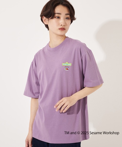 FRUIT OF THE LOOM tシャツ SESAME STREET×FTL Illust T-Shirt D