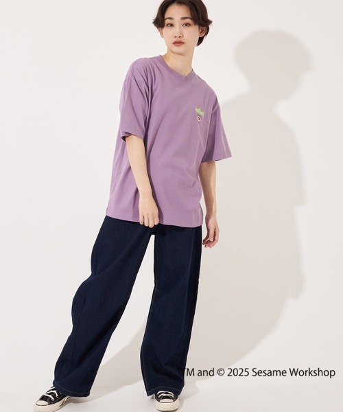 【FRUIT OF THE LOOM】SESAME STREET×FTL Illust T-Shirt A/全2色 FRUIT OF THE LOOM tシャツ SESAME STREET×FTL Illust T-Shirt D