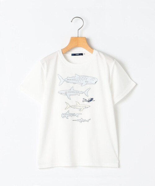 SHIPS（シップス） tシャツ SHIPS KIDS:80〜90m /「接触冷感/吸水速乾