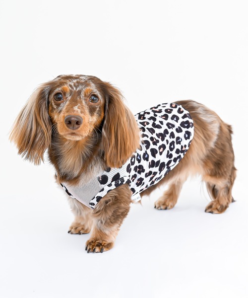 犬 服 NEWJACK:レオパードメッシュタンク : ZOZOTOWN Yahoo!店 - 通販