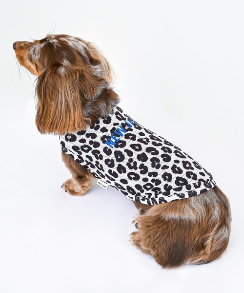 セントジェームス（ペット用品、生き物）のおすすめ人気商品一覧 通販