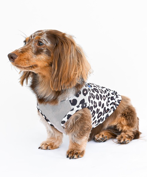 犬 服 NEWJACK:レオパードメッシュタンク : ZOZOTOWN Yahoo!店 - 通販