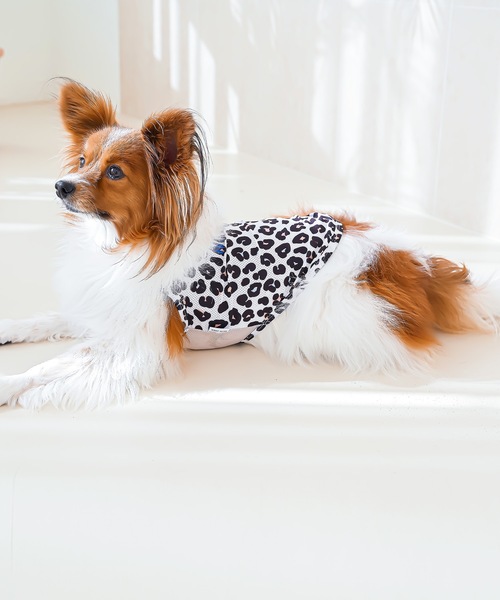 犬 服 NEWJACK:レオパードメッシュタンク : ZOZOTOWN Yahoo!店 - 通販
