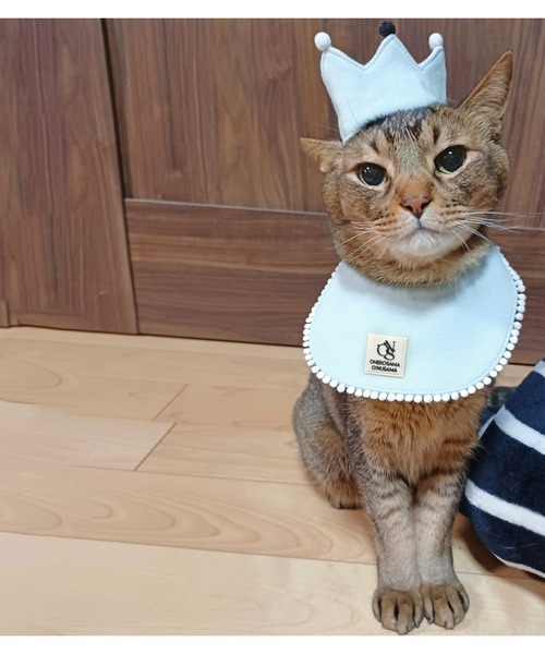 ONEKOSAMA OINUSAMA（おねこさま・おいぬさま） 犬 服 スタイ