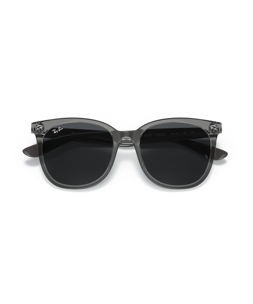 Ray-Ban サングラス レイバン Dmodels 0RB4379D (アジア限定