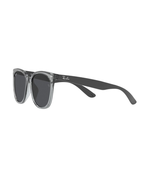 Ray-Ban レイバン サングラス RB4379D(アジア限定モデル) Ray-Ban サングラス レイバン RB4379D(アジア限定モデル・ロー