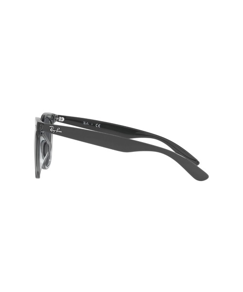 Ray-Ban（レイバン） サングラス サングラス Dmodels 0RB4379D
