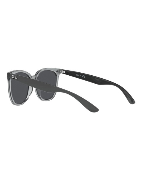 Ray-Ban（レイバン） サングラス サングラス Dmodels 0RB4379D