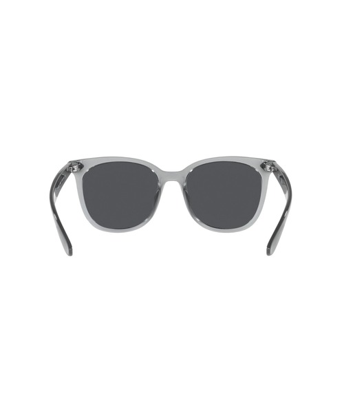 Ray-Ban サングラス レイバン Dmodels 0RB4379D (アジア限定