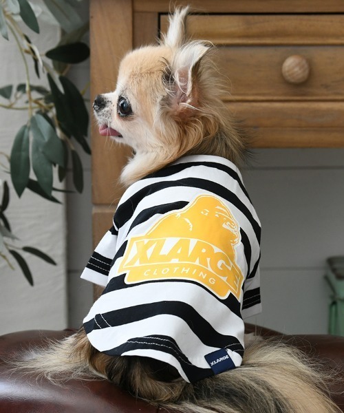 XLARGE（エクストラ ラージ） 犬 服 XLARGE/OGボーダーT : ZOZOTOWN