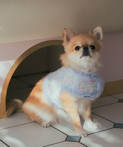 犬服・アクセサリー Sophia fafa（フェフェ） 犬 服 POPPY KATE | ソフトハーネス(犬用 / Lサイズ