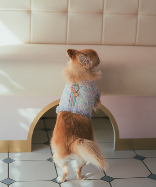 fafa（フェフェ） 犬 服 POPPY KATE | ソフトハーネス(犬用 / Sサイズ