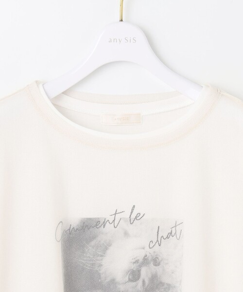 tシャツ 「貴島明日香さんコラボ」チュールレイニャード猫 Tシャツ レディース any SiS｜【貴島明日香さんコラボ】チュールレイニャード猫 T