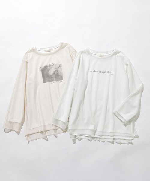 tシャツ 「貴島明日香さんコラボ」チュールレイニャード猫 Tシャツ レディース any SiS｜【貴島明日香さんコラボ】チュールレイニャード猫 T