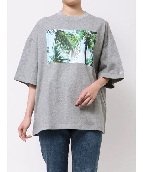tシャツ PARROTT CANVAS TRAVEL PH レディース
