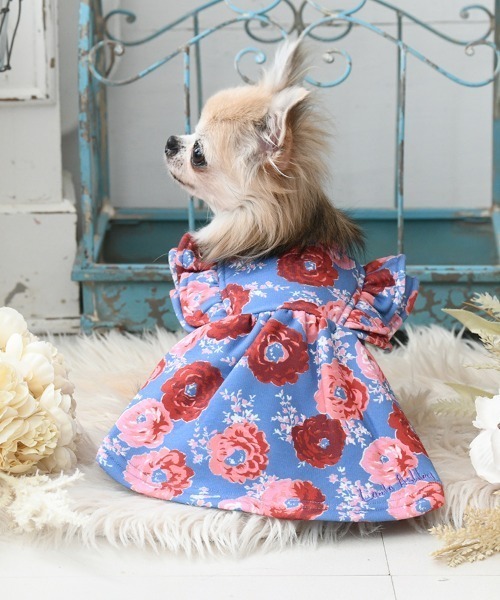 犬ワンピースイタリア製 TONE（トネ） 犬 服 「minimo」豹柄ワンピース/犬服(ドッグウェア)(SU