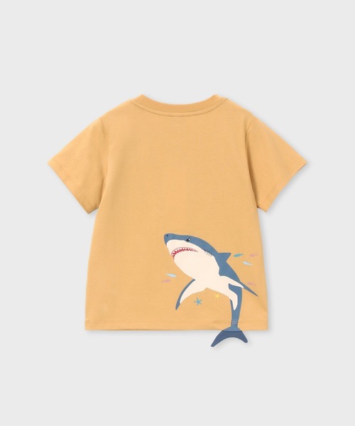 【新品タグ付き】PaulSmith シャツ サメ柄 Paul Smith JUNIOR tシャツ ボーイズ シャークギミック Tシャツ