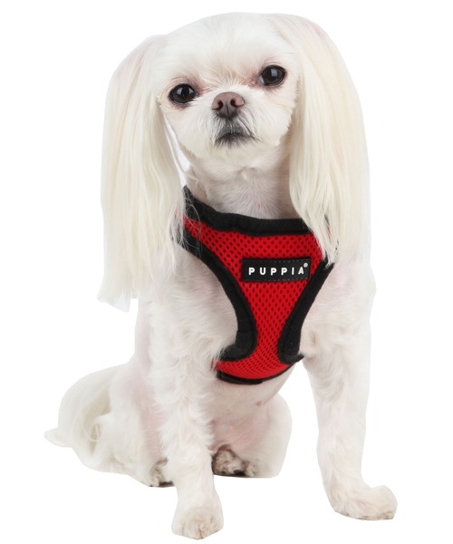 犬 ハーネス リード PUPPIA:パピア ソフト ベスト : ZOZOTOWN Yahoo!店