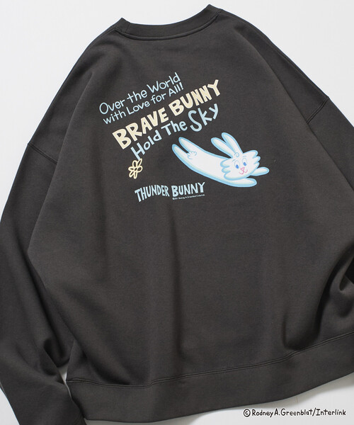 トレーナー スウェット 限定展開 Thunder Bunny/サンダーバニー/別注 ビッグシルエット バックプリント クルーネックスウェット / SK | FREAK'S STORE