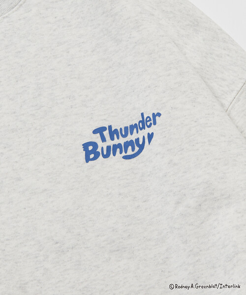 トレーナー スウェット 限定展開 Thunder Bunny/サンダーバニー/別注 ビッグシルエット バックプリント クルーネックスウェット / SK | FREAK'S STORE | 12