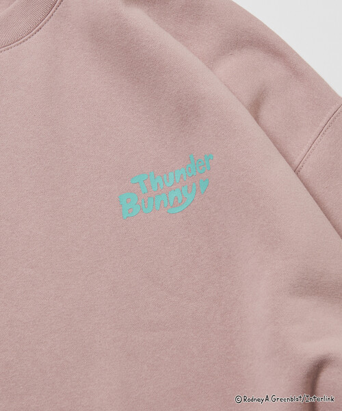 トレーナー スウェット 限定展開 Thunder Bunny/サンダーバニー/別注 ビッグシルエット バックプリント クルーネックスウェット / SK | FREAK'S STORE | 18