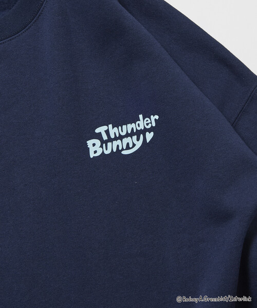 トレーナー スウェット 限定展開 Thunder Bunny/サンダーバニー/別注 ビッグシルエット バックプリント クルーネックスウェット / SK | FREAK'S STORE | 23