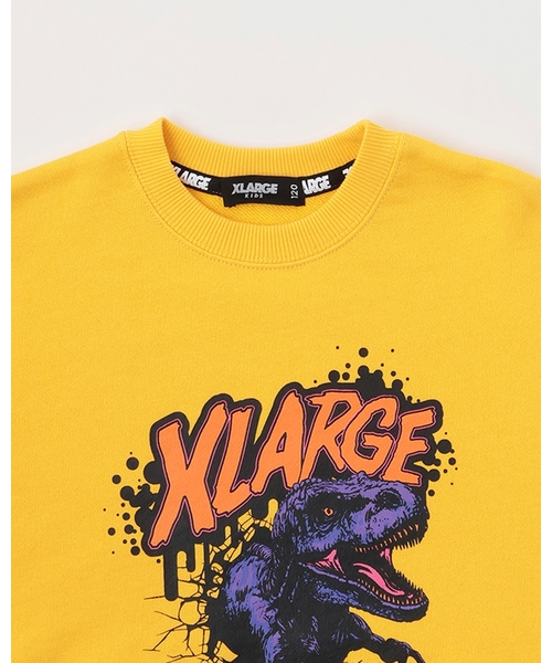 XLARGE KIDS（エクストララージ キッズ） トレーナー ダイナソー
