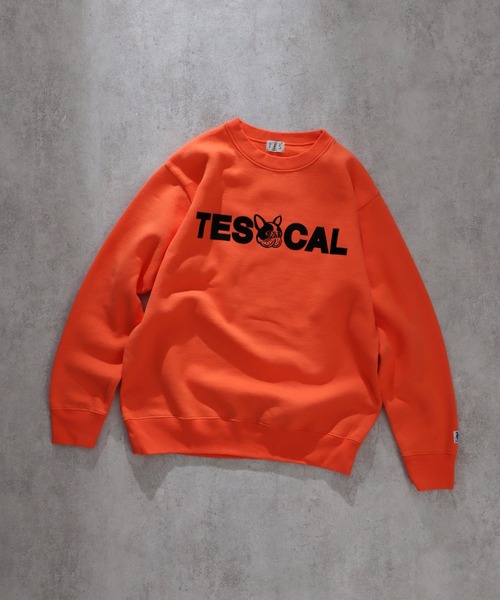 「The Endless Summer」 スウェットカットソー MEDIUM ブルー メンズ_画像5