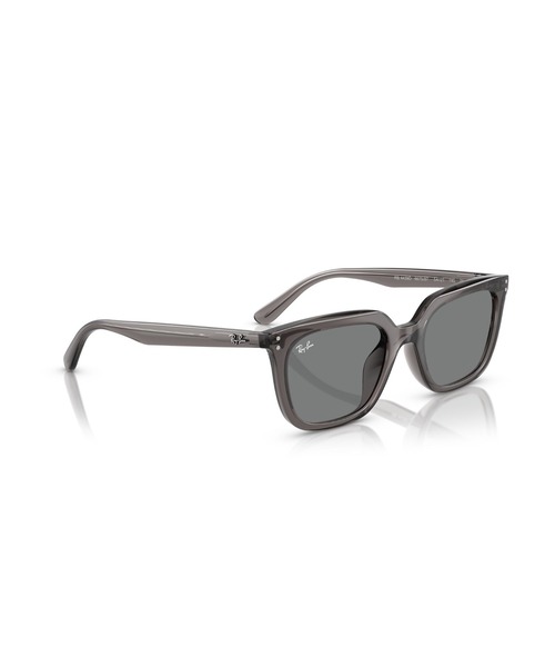 Ray-Ban（レイバン） サングラス サングラス Dmodels 0RB4439D