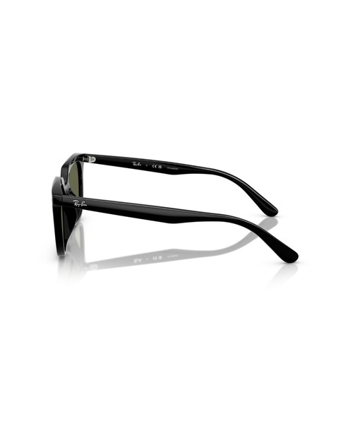 サングラス Ray-Ban レイバン サングラス Dmodels 0RB4439D (偏光レンズ・アジアンデザインモデル・ローブリッジフィット)の画像