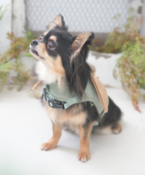 犬 服 Calulu/なりきり恐竜ハーネス/犬具/Mサイズ : ZOZOTOWN Yahoo!店