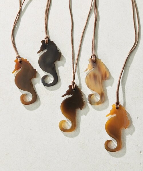 c*n様 goa necklace ホーンネックレス 水牛角 本革レザー ボヘミ ear PAPILLONNER（イア パピヨネ） ネックレス 水牛角シーホース