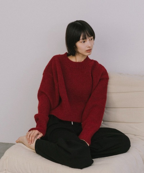 duei（デュイ） ニット セーター ベーシッククロップドニット / ウール